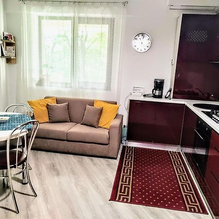 Simona Apartament Palas Mall 1 Ιάσιο Εξωτερικό φωτογραφία